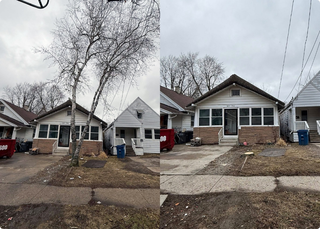 Split before and after photo of tree removal