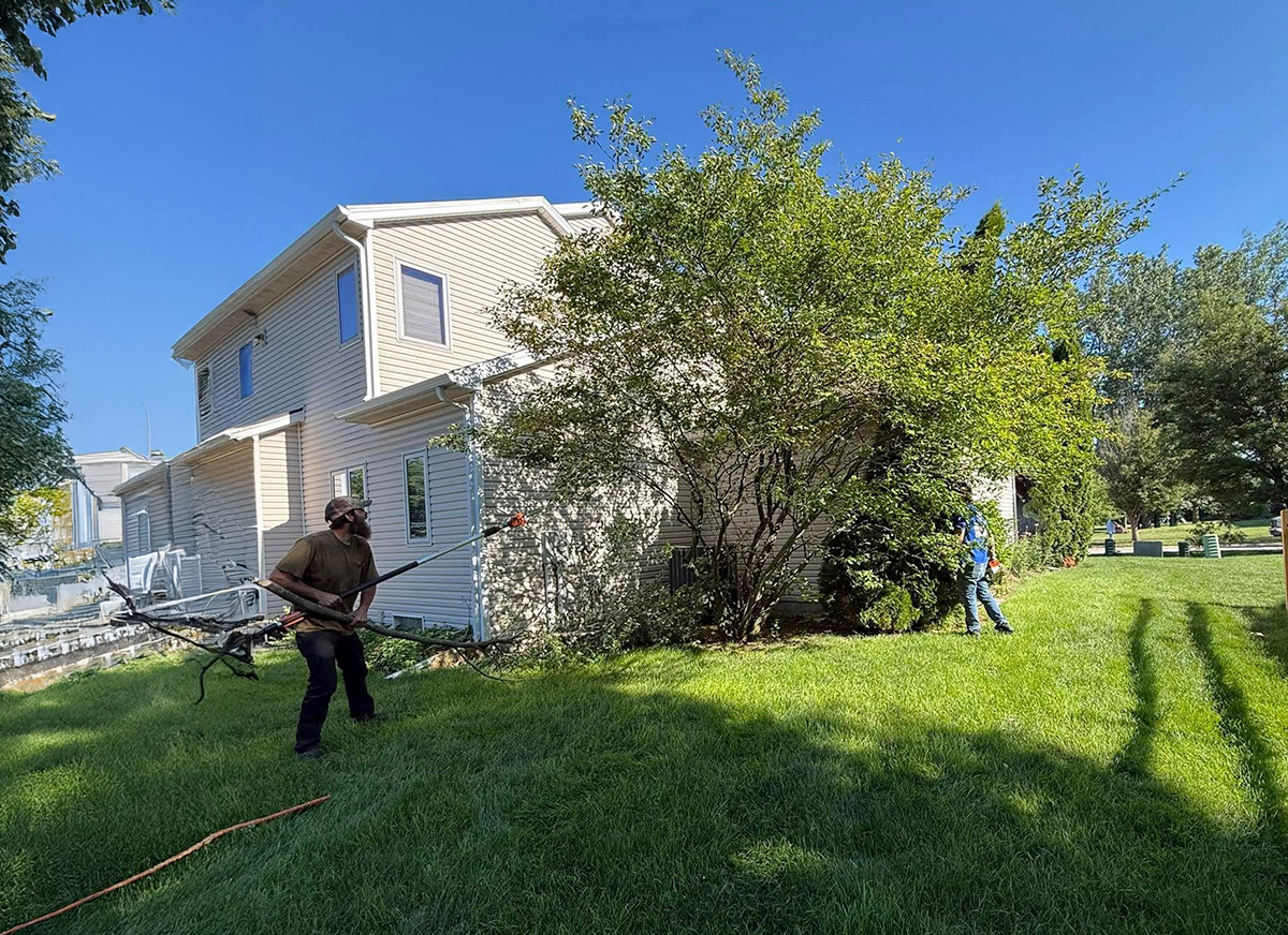 Clearing brush by corner of house